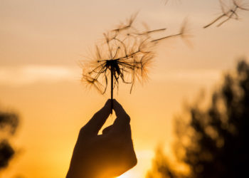 Quand le manque de confiance engendre des partenariats toxiques