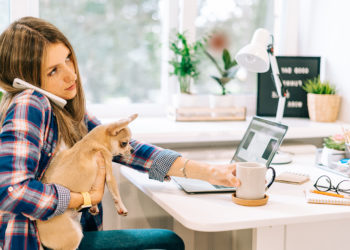 Le boom des bureaux « dog-friendly » : bienfaits et défis