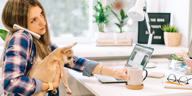 Le boom des bureaux « dog-friendly » : bienfaits et défis