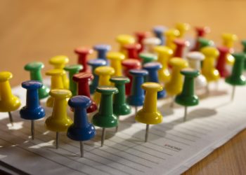 Punaises de lit : alerte au bureau (aussi) !