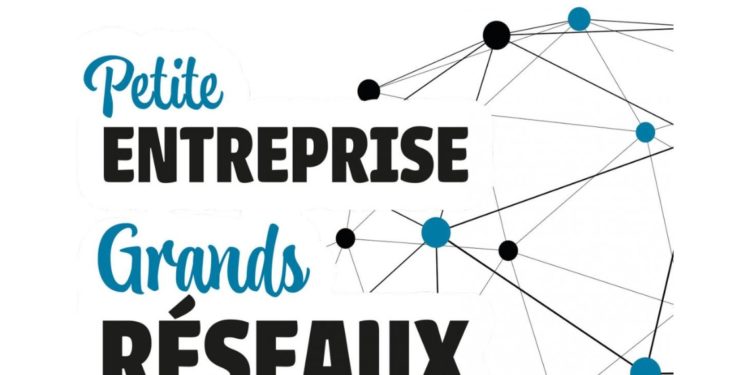 Petite Entreprise, Grands Réseaux