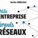 Petite Entreprise, Grands Réseaux