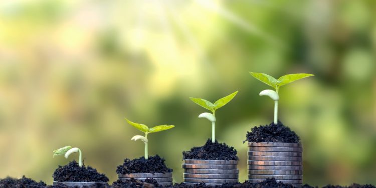 Transformez vos objectifs avec la mentalité de croissance