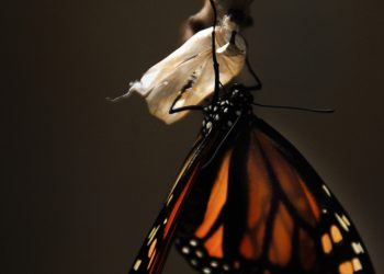 Adieu peur du changement !