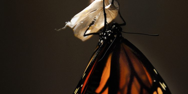 Adieu peur du changement !