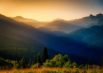 Les séminaires verts : quand l’écologie s’invite dans l’événementiel d’entreprise