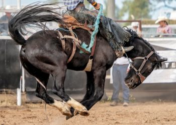 Comment cornaquer son manager ?