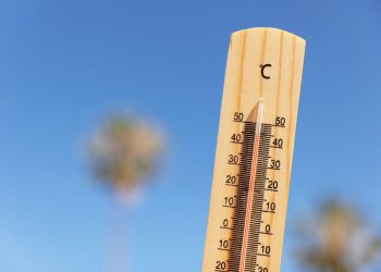 Guide pratique anti-canicule : Comment garder la tête froide au bureau ?