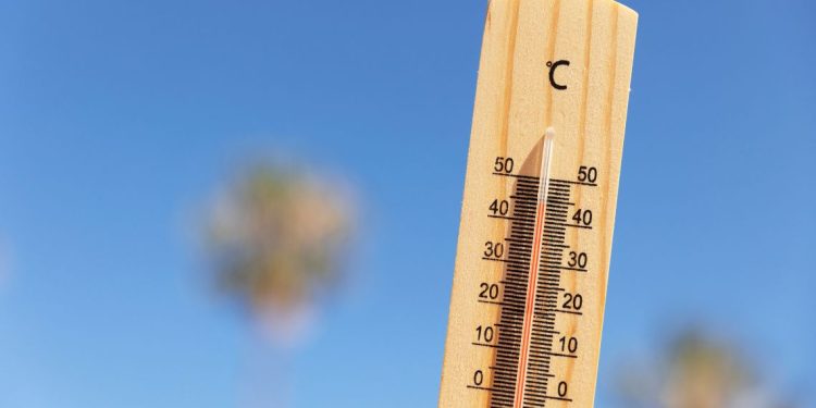 Guide pratique anti-canicule : Comment garder la tête froide au bureau ?