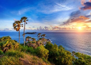 Le blues de l’assistante sous les tropiques