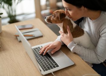 Peut-on amener un animal de compagnie au bureau ?