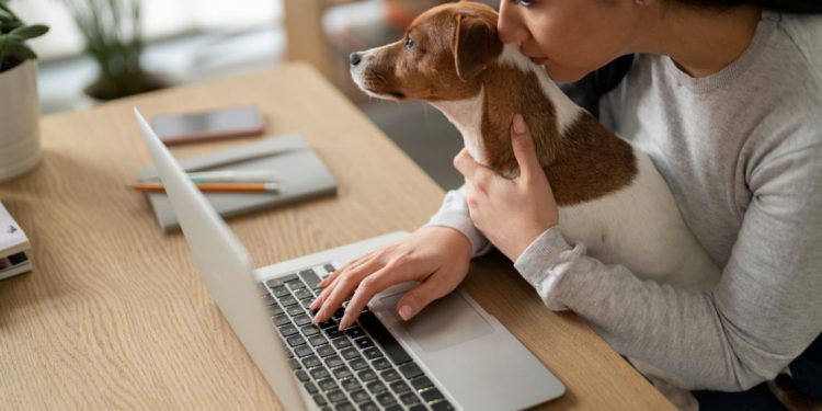 Peut-on amener un animal de compagnie au bureau ?