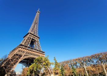 10 conseils pour organiser un dîner d’affaires inoubliable à Paris