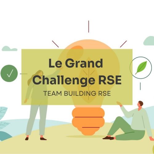 Le Grand Challenge RSE